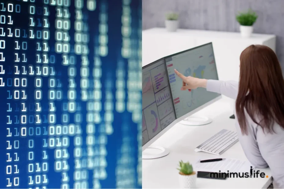Mejores Cursos de Ciencia de Datos en Buenos Aires: ¡Descubre Tu Futuro en la Capital del Conocimiento!
